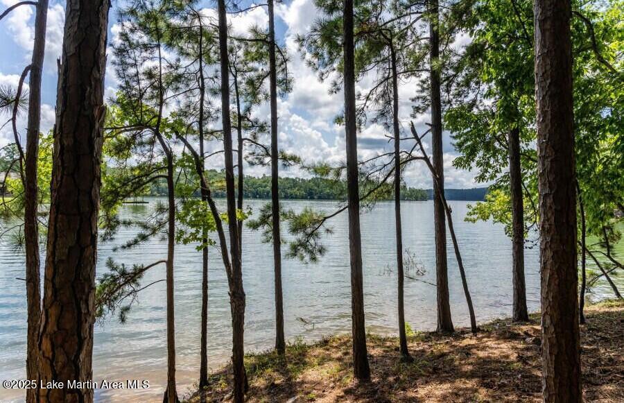 95 East Ridge Alexander City, AL 35010 - Photo 1 of 1 1