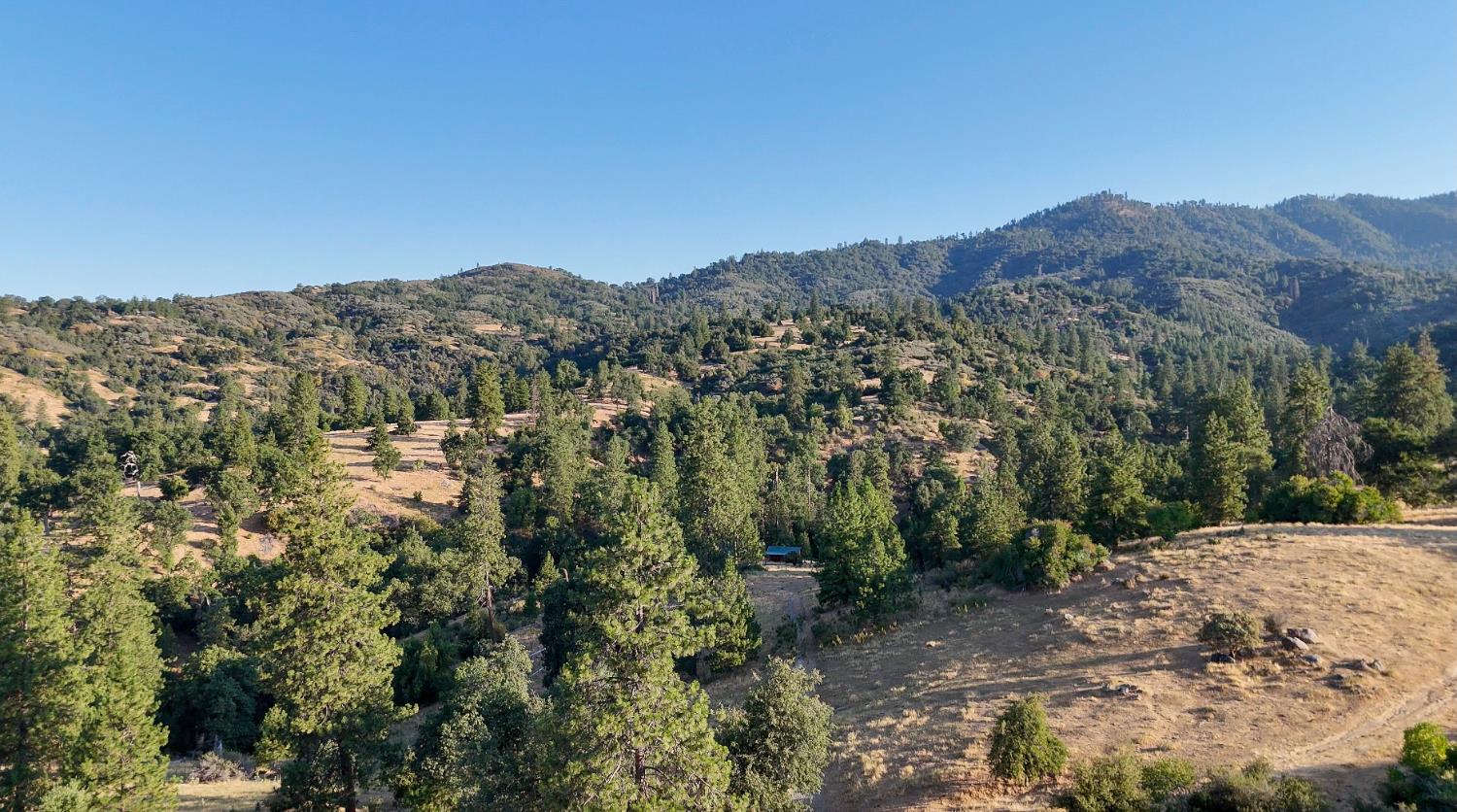0 Whitaker Forest Road Miramonte, CA 93603 - Photo 31 of 78 a view of a dry field