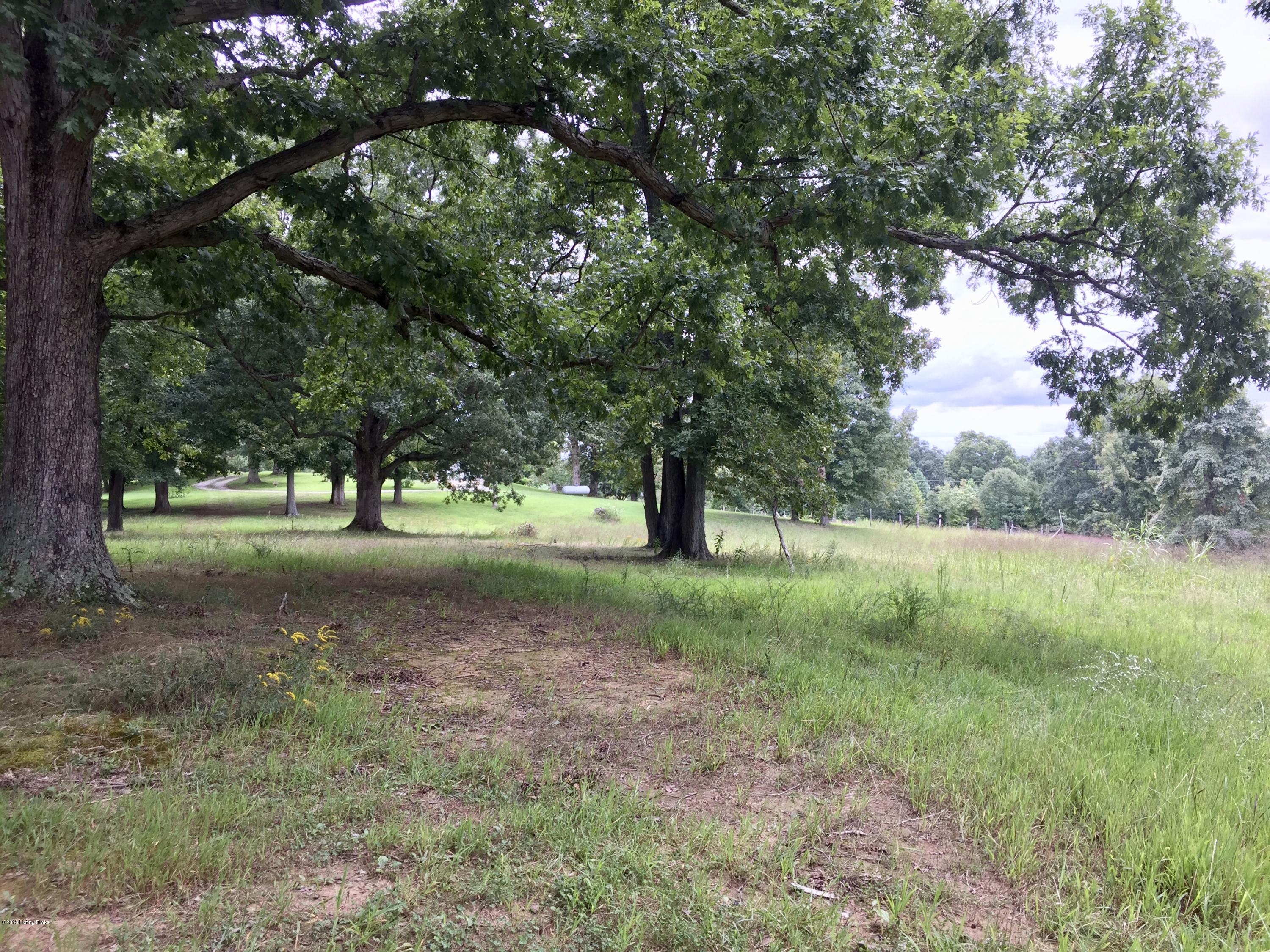 617 North Hopewell Church Road Fordsville, KY 42343 - Photo 102 of 116 102