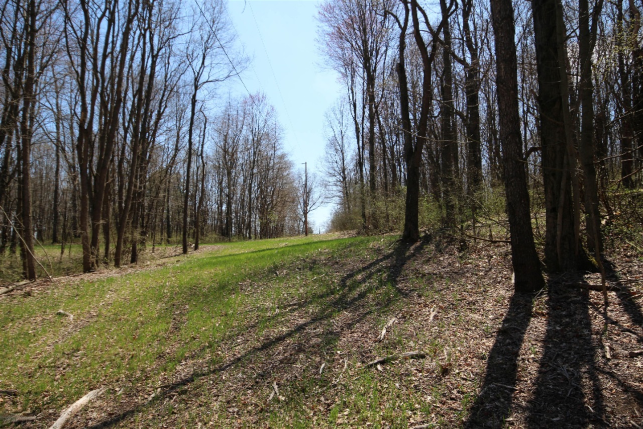 1 Day Road Three Rivers, MI 49093 - Photo 11 of 15