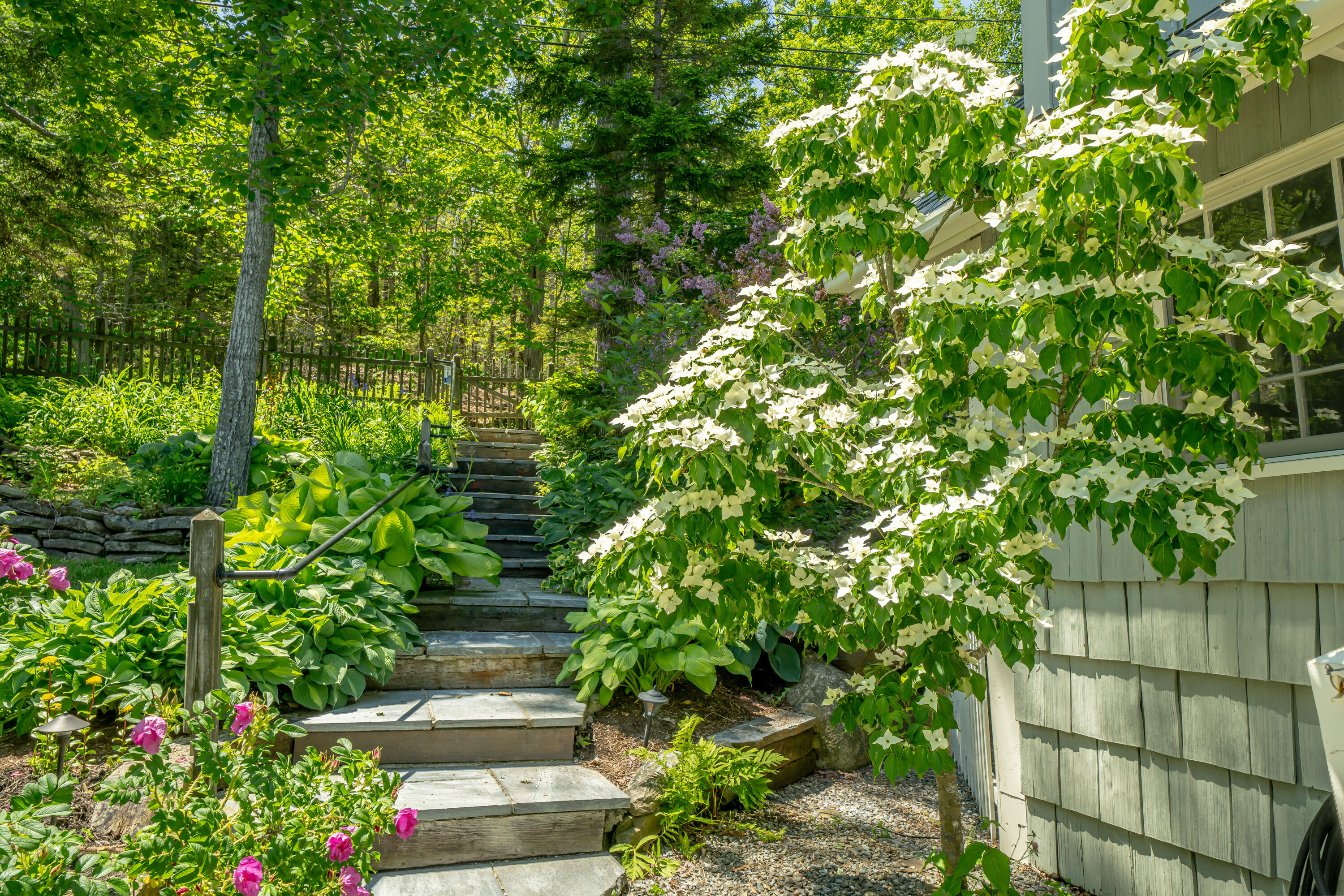 514 Shore Road Northport, ME 04849 - Photo 5 of 47 514 Shore Nestled Inn Walkway
