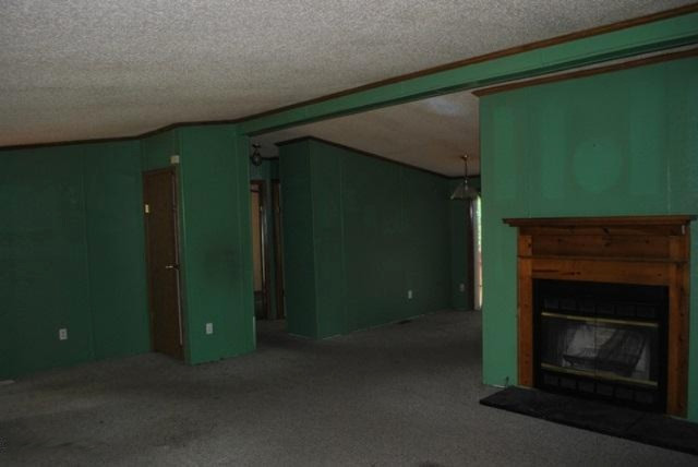 15840 Craft Road Hersey, MI 49639 - Photo 3 of 15 Case #263-393858 Living rm 2