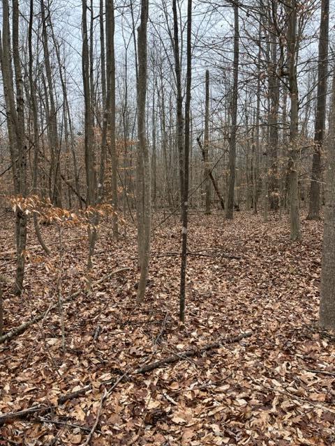 13 Dug Hill Road Brodhead, KY 40409 - Photo 3 of 4 IMG_1312