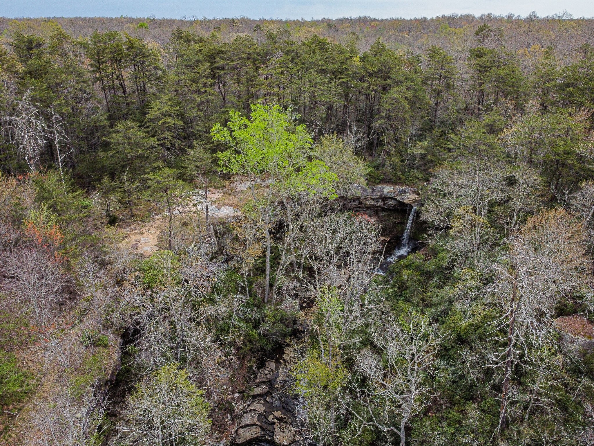 540 Monteagle Falls Road Monteagle, TN 37356 - Photo 39 of 49 Gallery Image 39