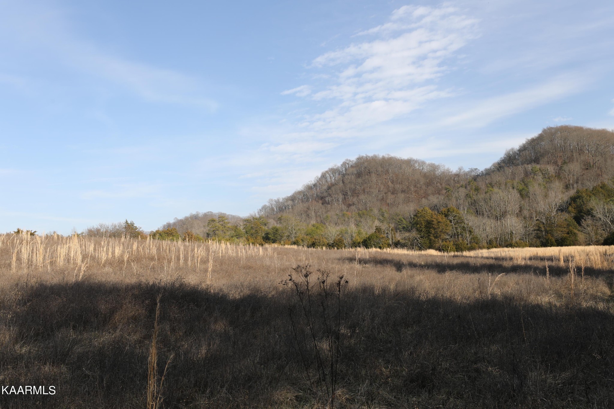 0 Sleepy Valley Road Madisonville, TN 37354 - Photo 15 of 24 Gallery Image 15