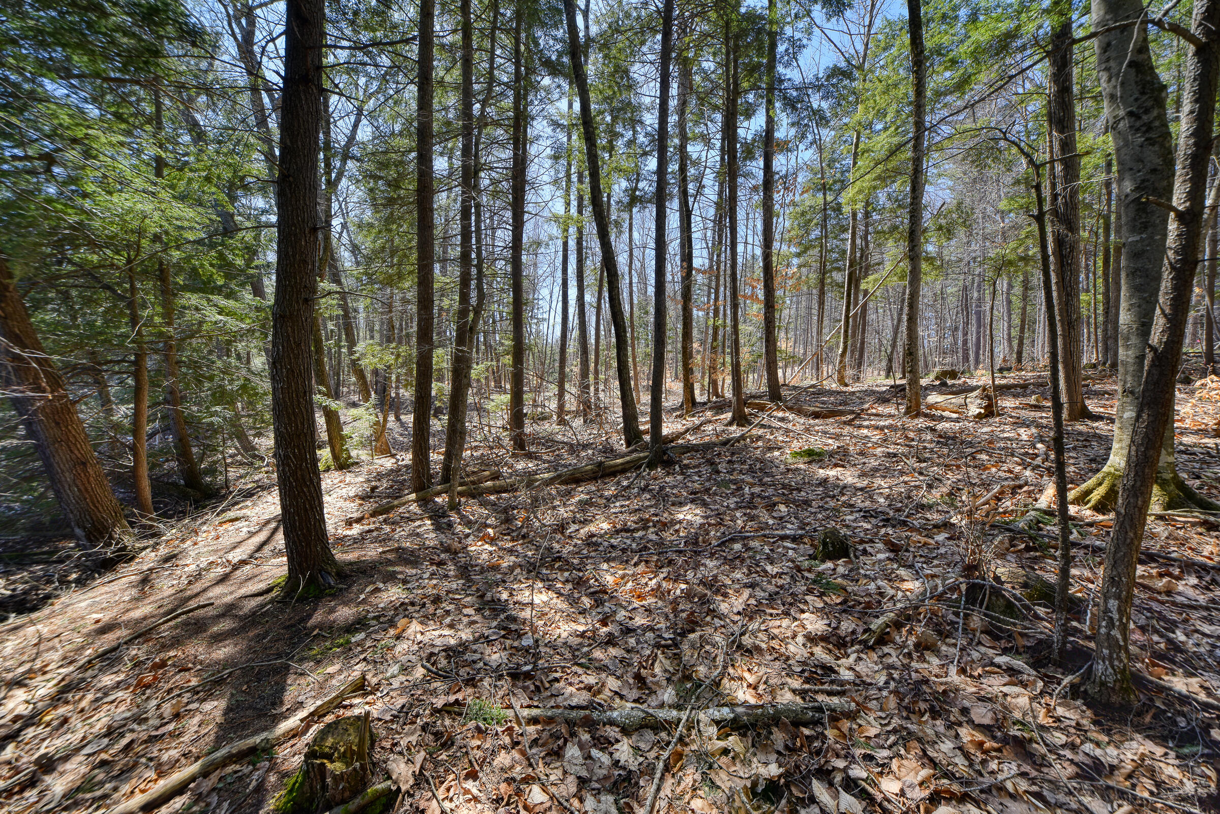 0 Route9-126 Road Litchfield, ME 04350 - Photo 23 of 105 108699gr-134