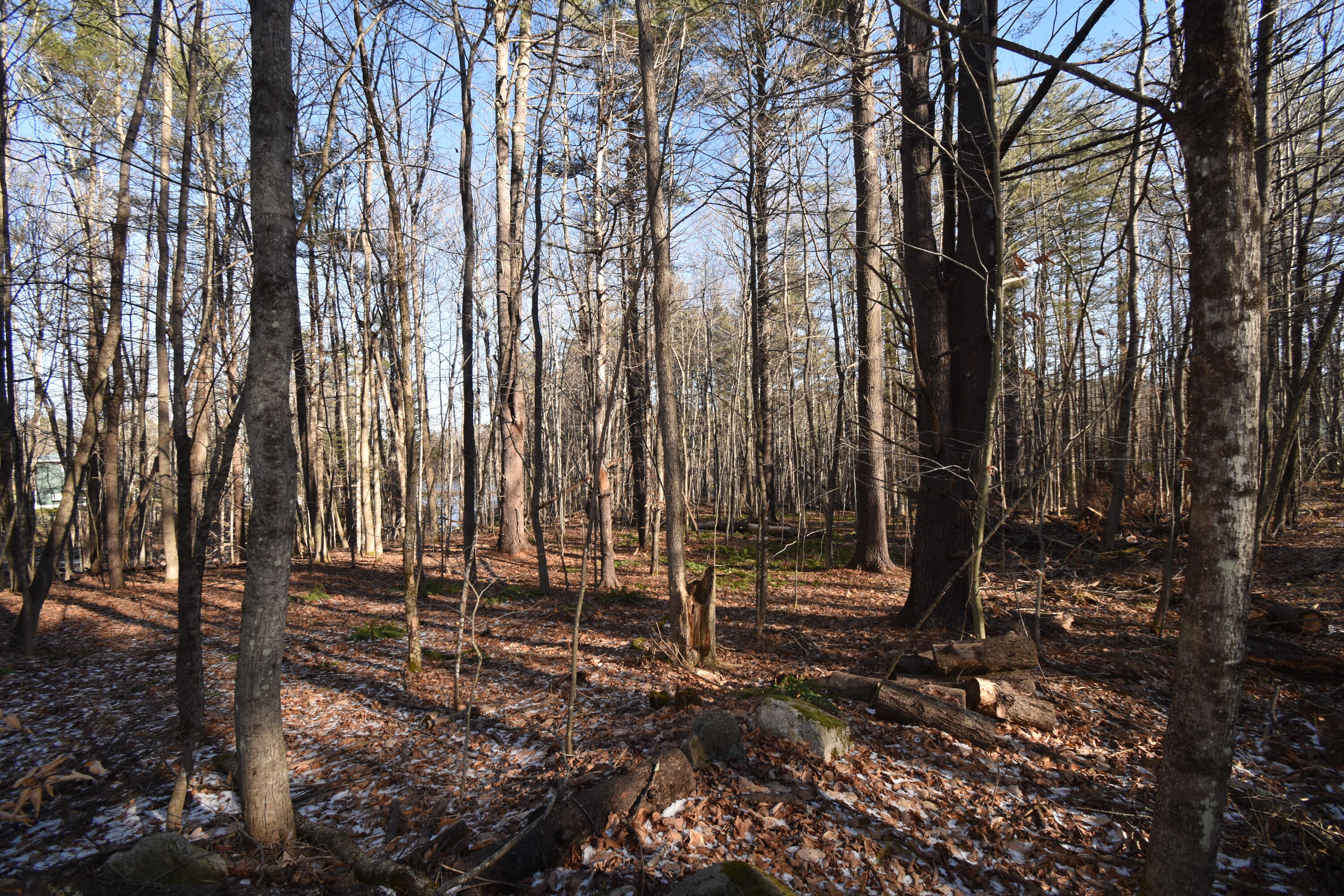 0 Route9-126 Road Litchfield, ME 04350 - Photo 29 of 105 DSC_0007