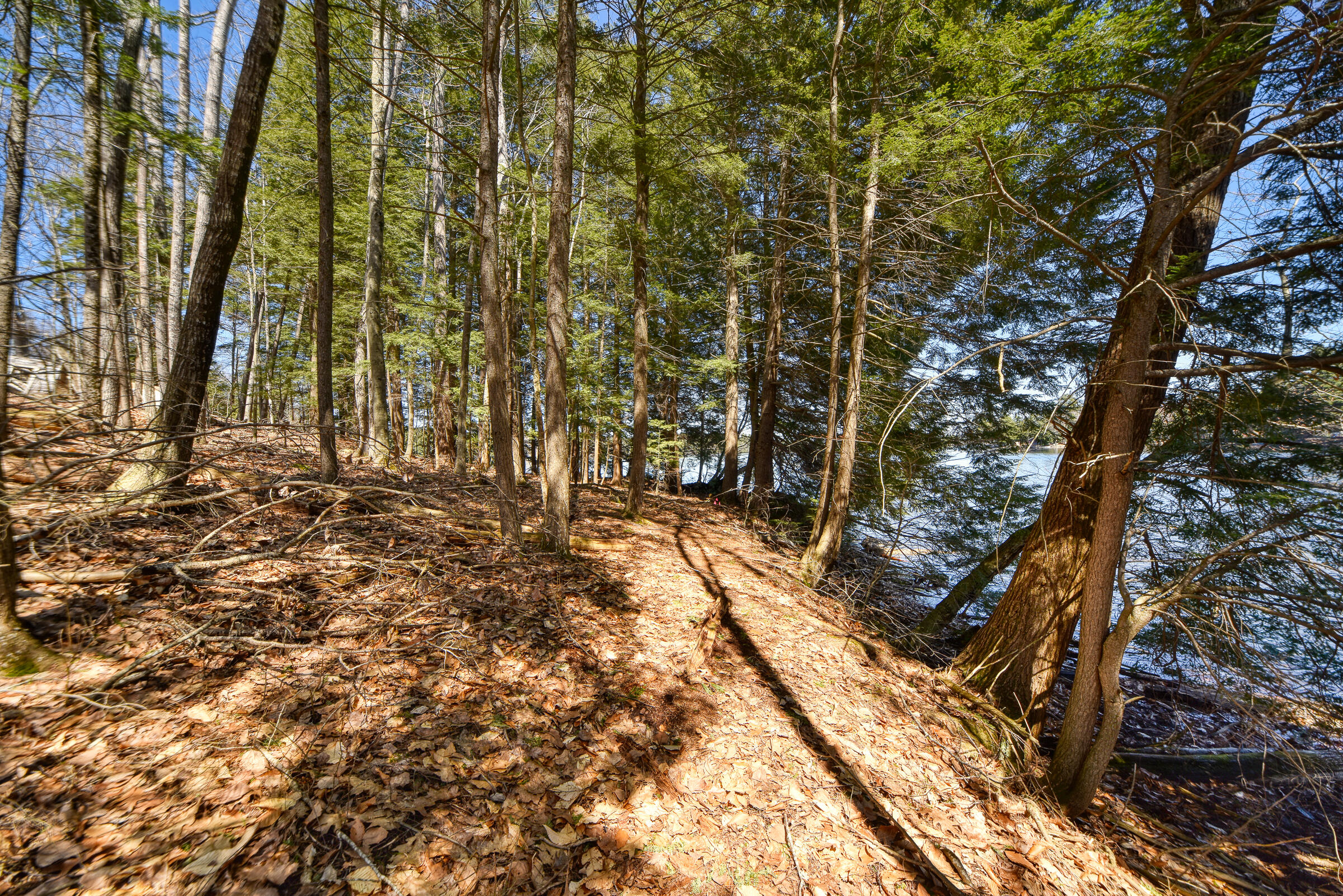 0 Route9-126 Road Litchfield, ME 04350 - Photo 30 of 105 108699gr-132