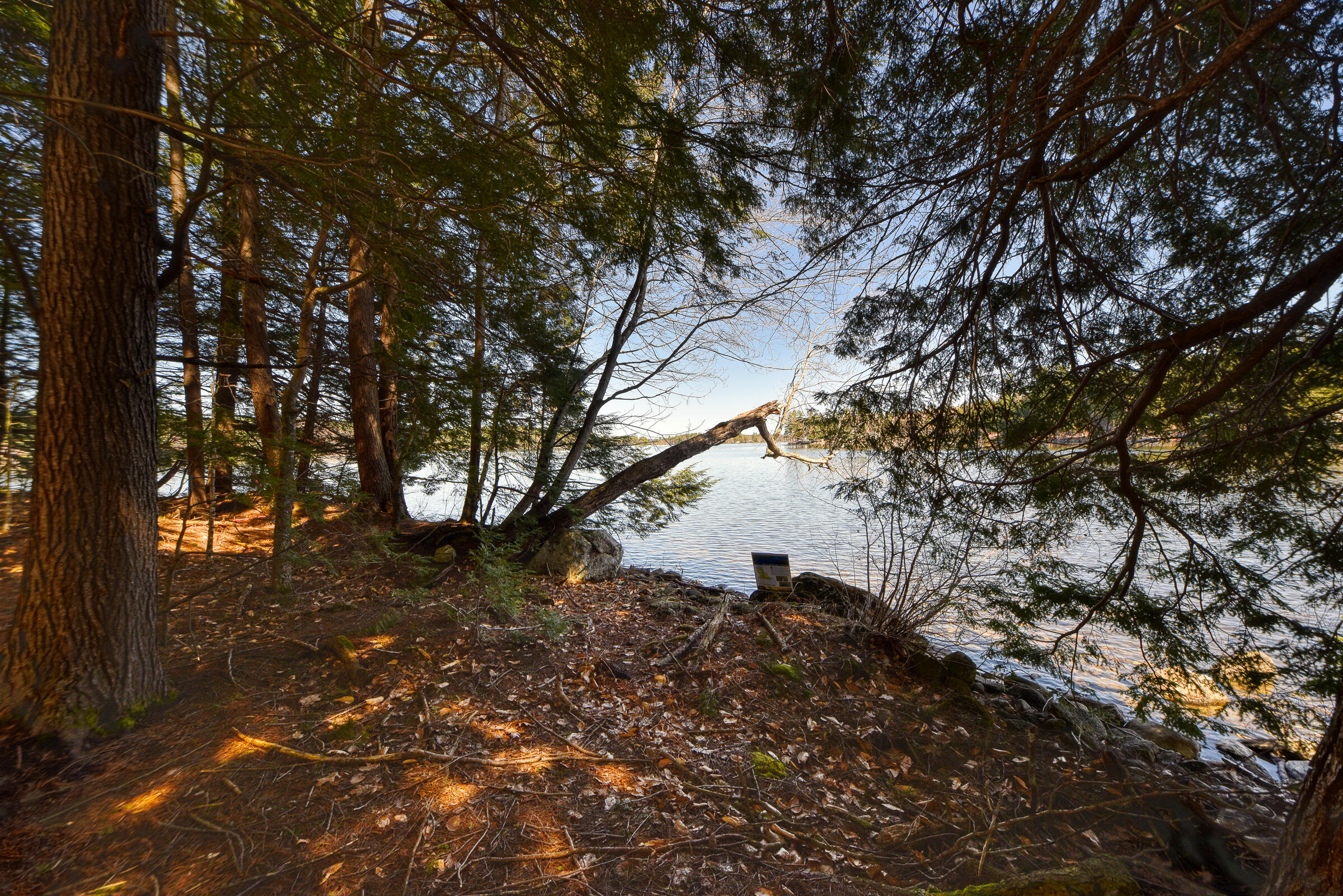 0 Route9-126 Road Litchfield, ME 04350 - Photo 4 of 105 108699gr-133