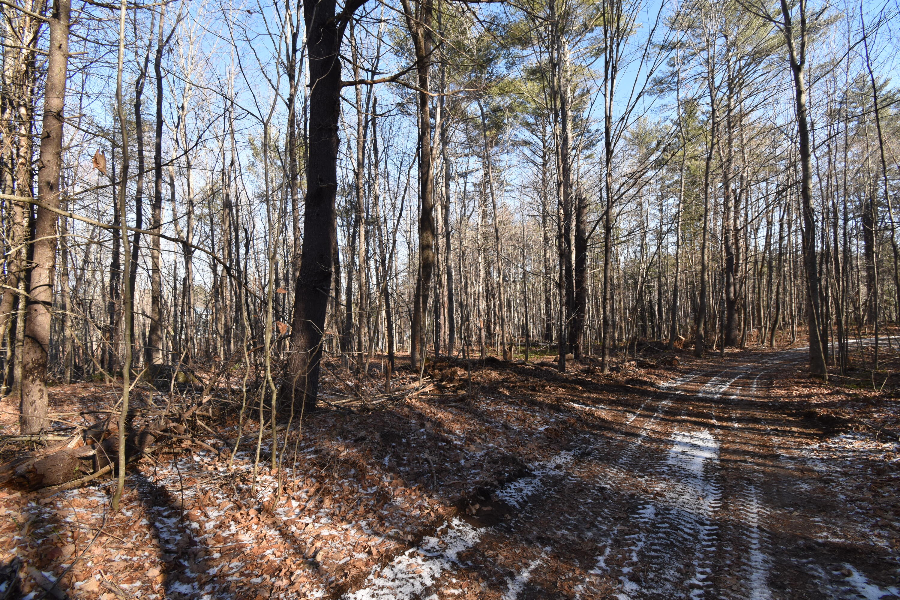 0 Route9-126 Road Litchfield, ME 04350 - Photo 50 of 105 DSC_0006