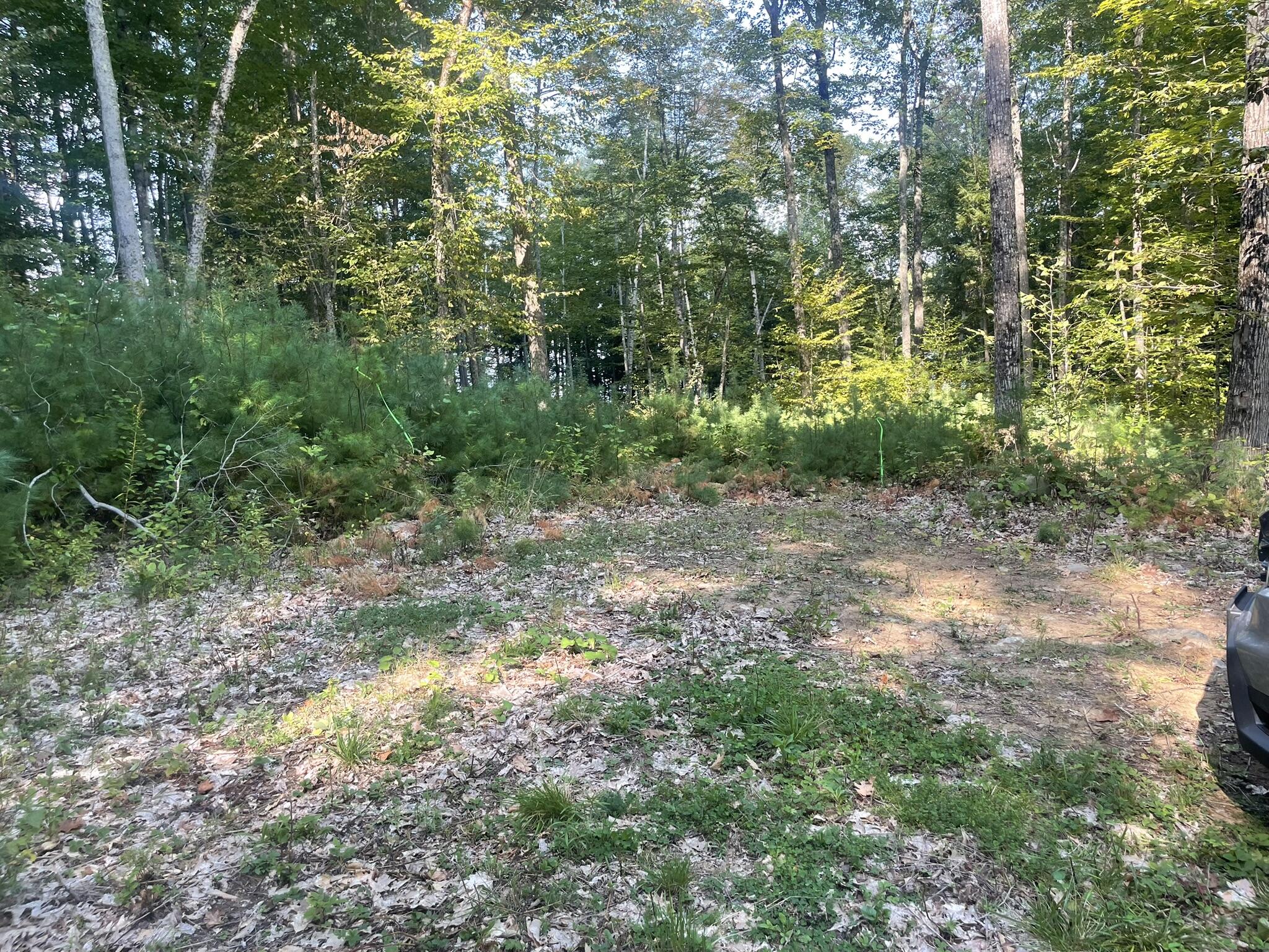 0 Route9-126 Road Litchfield, ME 04350 - Photo 62 of 105 IMG_9064