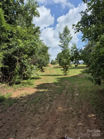 a view of a flowers in a yard