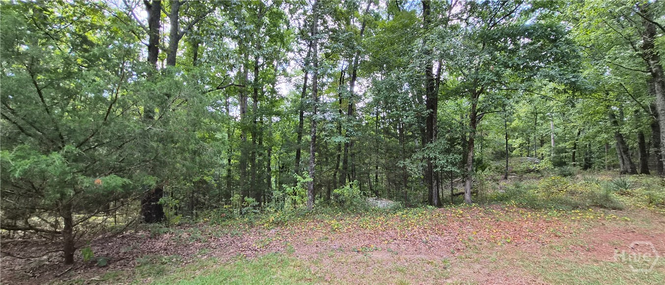 1753 Stephenson Road Lithonia, GA 30058 - Photo 60 of 60 Gallery Image 60