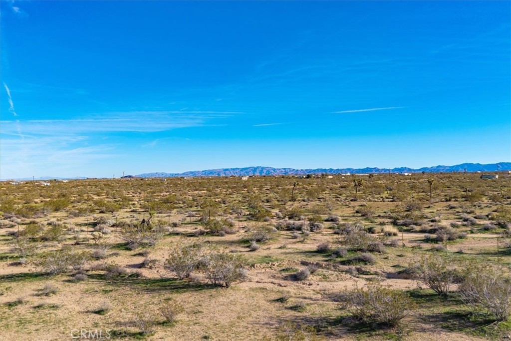 437 Mallow Road Landers, CA 92285 - Photo 39 of 50