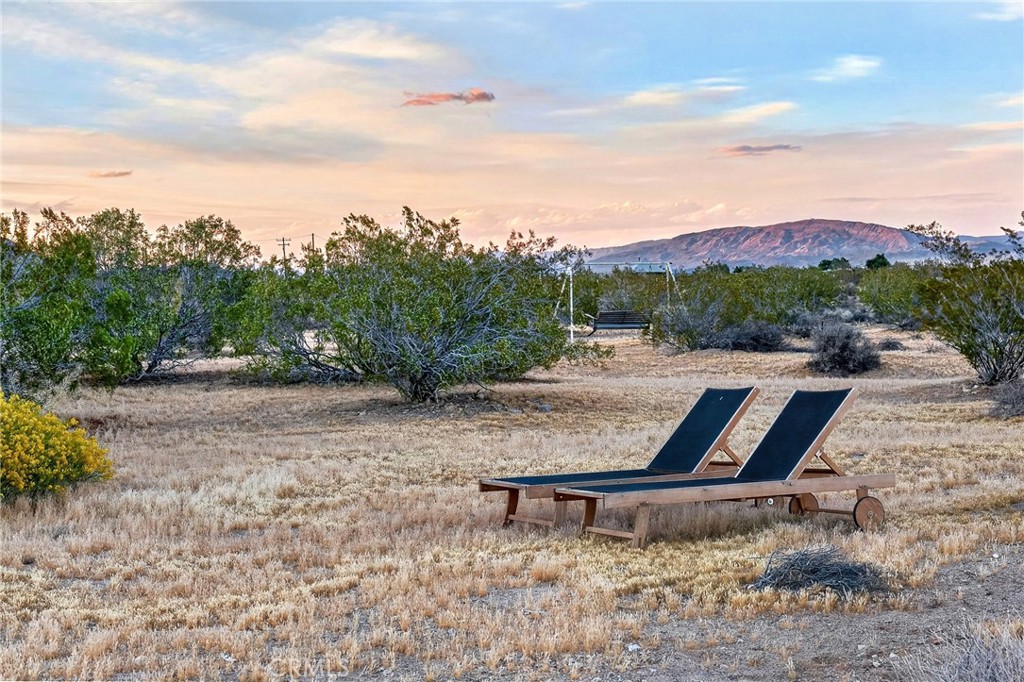 437 Mallow Road Landers, CA 92285 - Photo 46 of 52 a view of a outdoor space