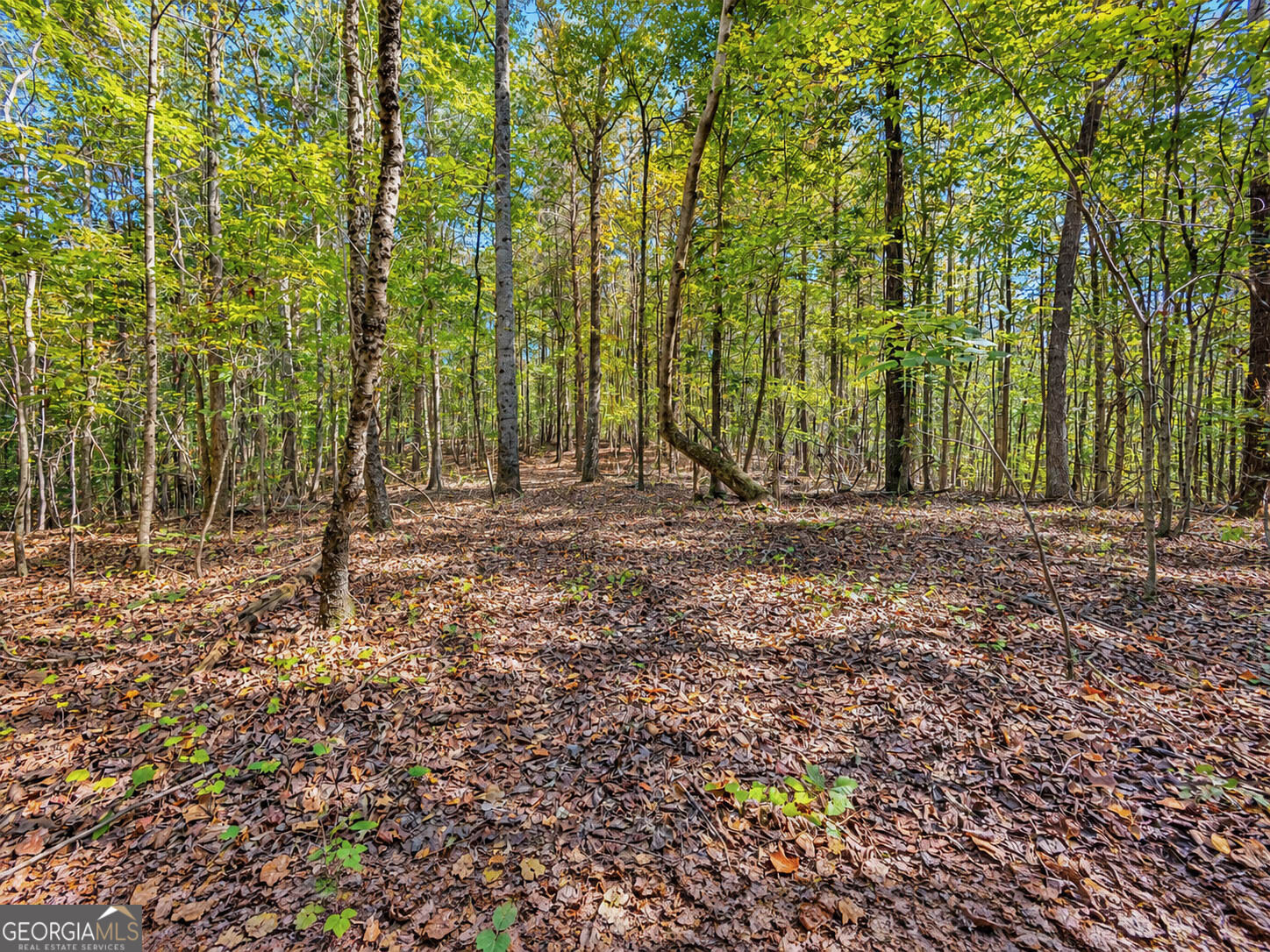 1 Lees Bridge Road Delta, AL 36258 - Photo 13 of 23 Gallery Image 13