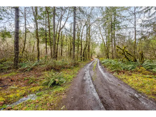 $395,000 | 40440 Big Fall Creek Road, Lowell, OR 97452