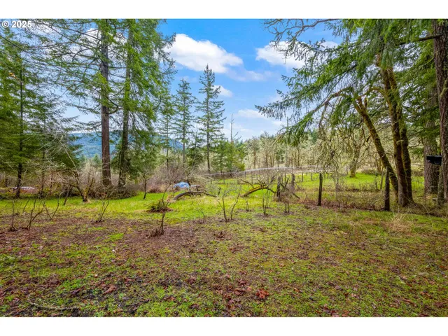 $395,000 | 40440 Big Fall Creek Road, Lowell, OR 97452