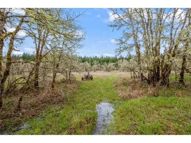 $395,000 | 40440 Big Fall Creek Road, Lowell, OR 97452