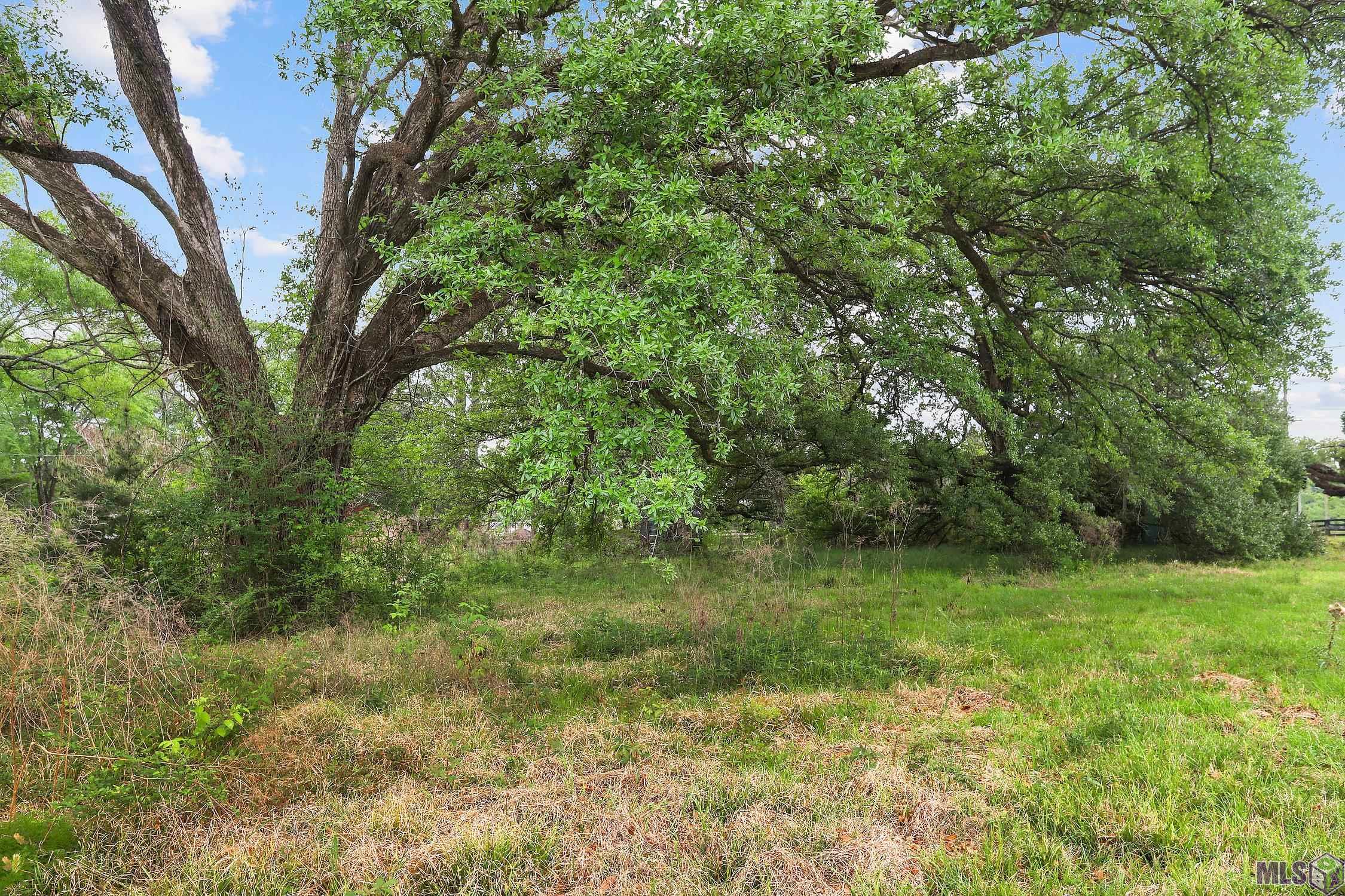 15475 Greenwell Springs Road Central, LA 70739 - Photo 2 of 3
