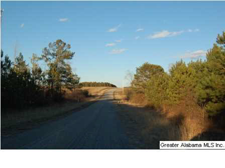 66 County Road, Unit 50 Woodland, AL 36280 - Photo 1 of 12