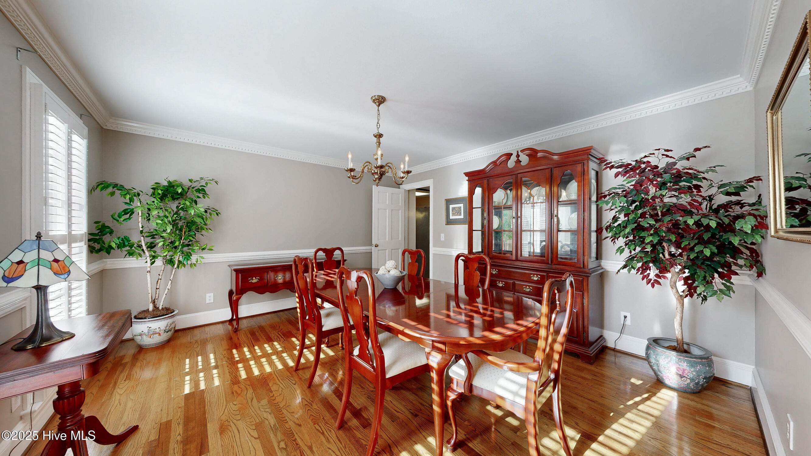 3502 Wallingford Road Greenville, NC 27858 - Photo 32 of 67 41