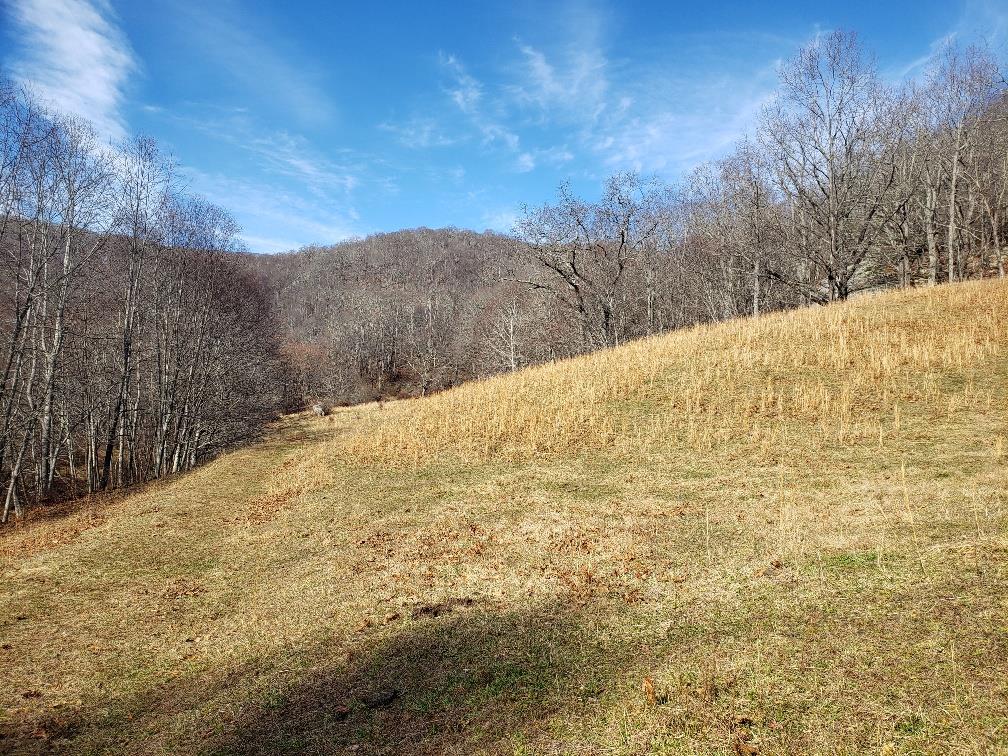 1563 Peach Bottom Road Independence, VA 24348 - Photo 1 of 15 Gallery Image 1