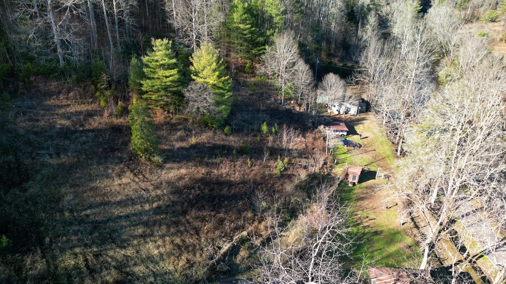 7356 Snowbird Road Robbinsville, NC 28771 - Photo 36 of 45 Gallery Image 36