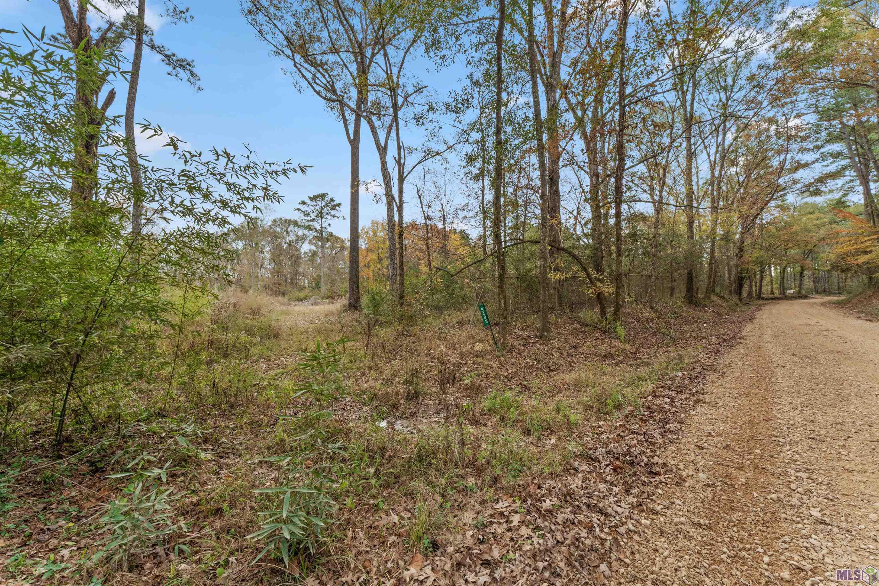 5498 Old Liberty Road North Clinton, LA 70722 - Photo 3 of 21