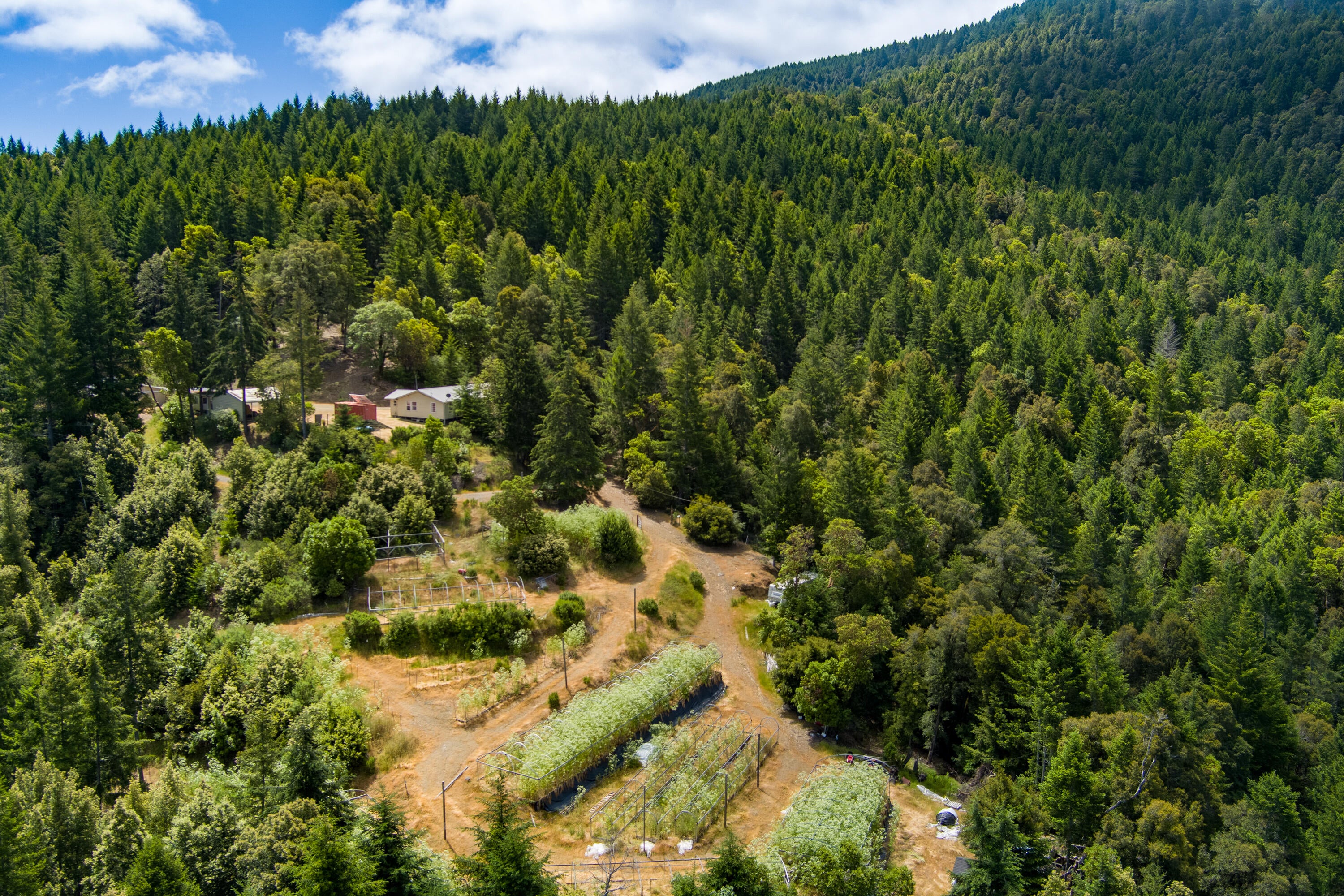 3761 Blue Rock Road Garberville, CA 95542 - Photo 74 of 85 Gallery Image 74