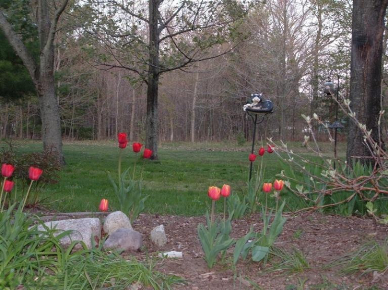 220 East Riley-Thompson Road Muskegon, MI 49445 - Photo 18 of 23 Additional Photo