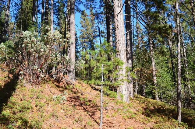 $49,900 | 1703 War Hawk Way, Arnold, CA 95223