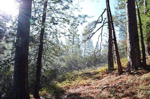 $49,900 | 1703 War Hawk Way, Arnold, CA 95223