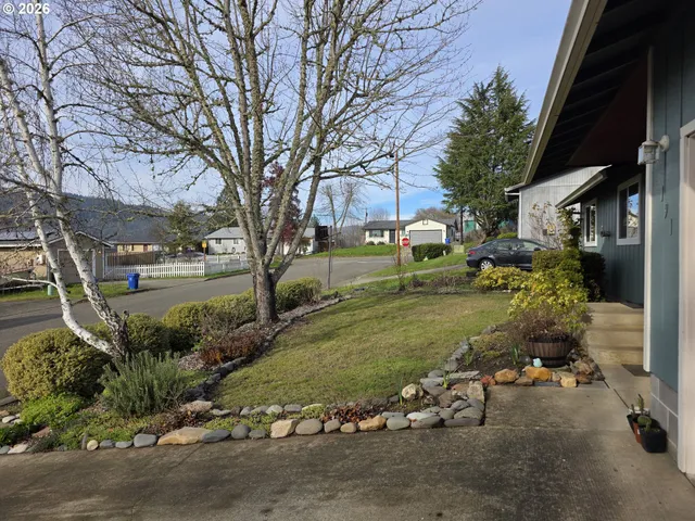 a view of a park that has a tree on the side of it