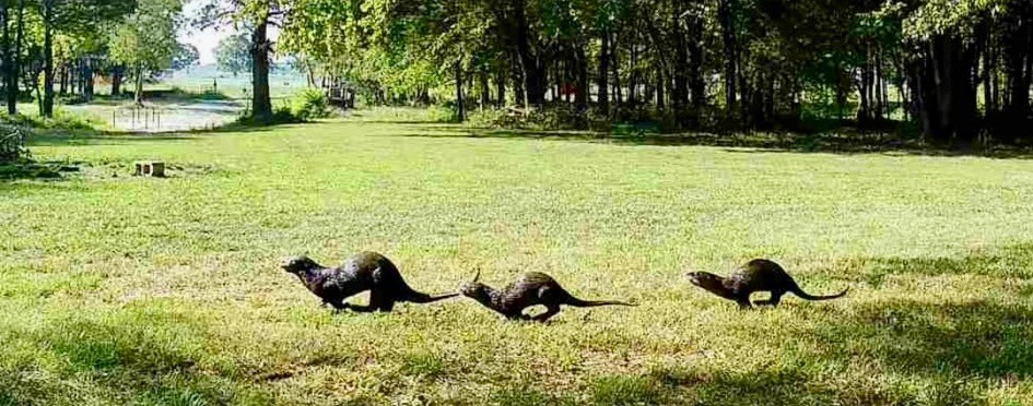 a view of swimming pool from a lake