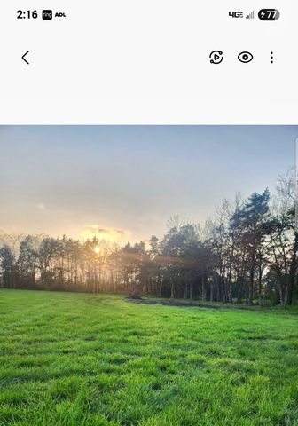 a view of a green field