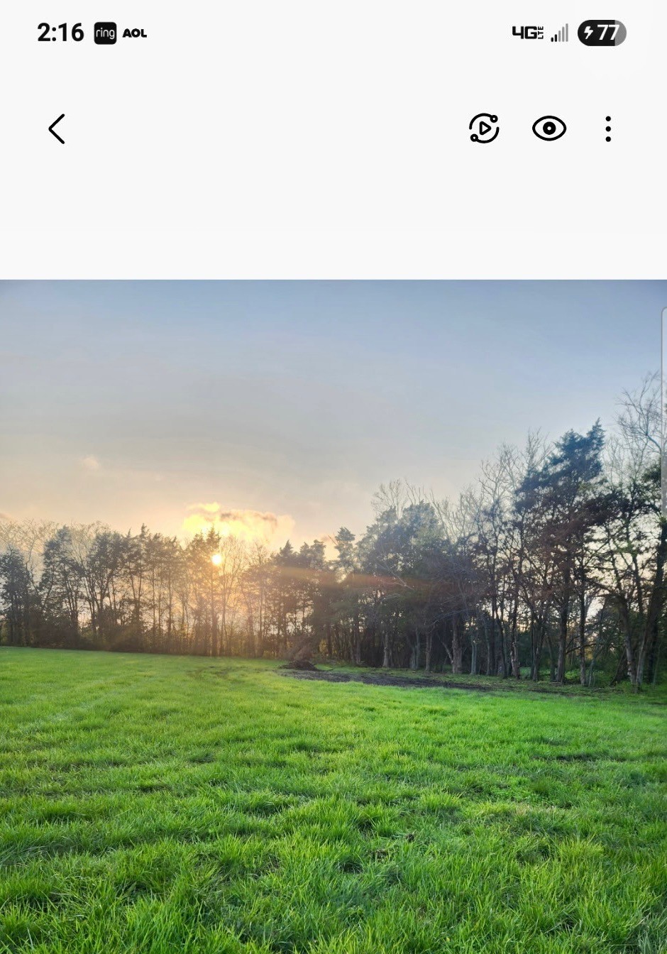 521 Airport Road Shelbyville, TN 37160 - Photo 2 of 4 a view of a green field