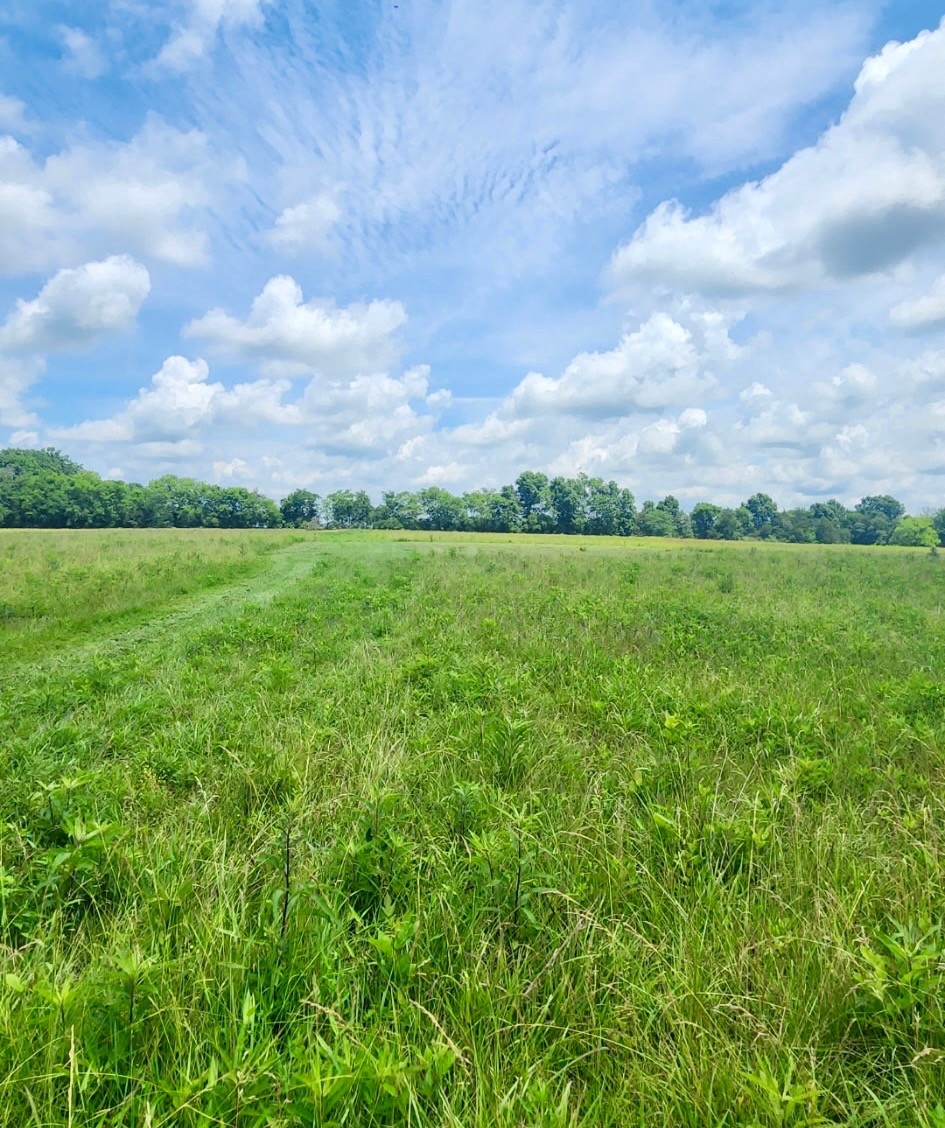 521 Airport Road Shelbyville, TN 37160 - Photo 3 of 4 a view of an outdoor space and a yard