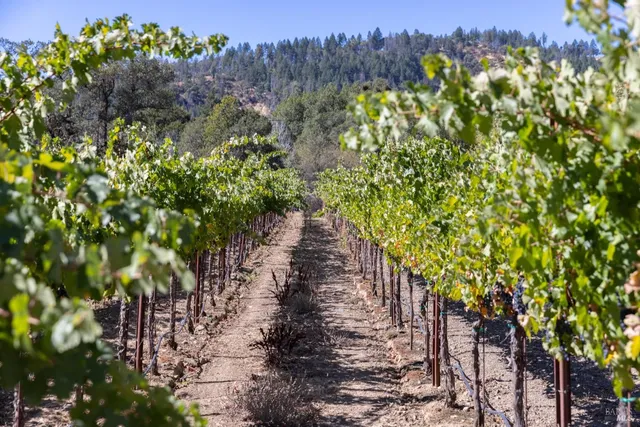 $2,500,000 | 300 Laughlin Way, Redwood Valley, CA 95470