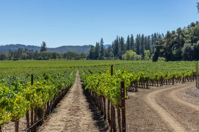 $2,500,000 | 300 Laughlin Way, Redwood Valley, CA 95470