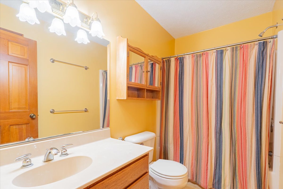 21389 North 2875 East Road Lexington, IL 61753 - Photo 31 of 44 a bathroom with a sink a toilet and shower curtain