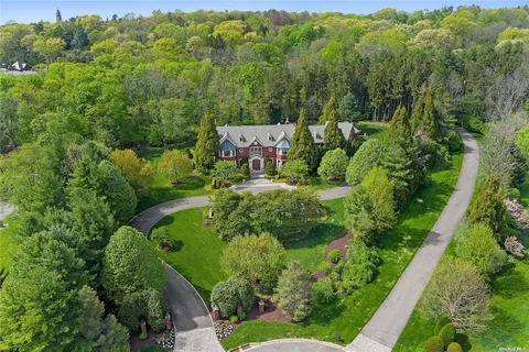 an aerial view of green landscape with trees houses and mountain view