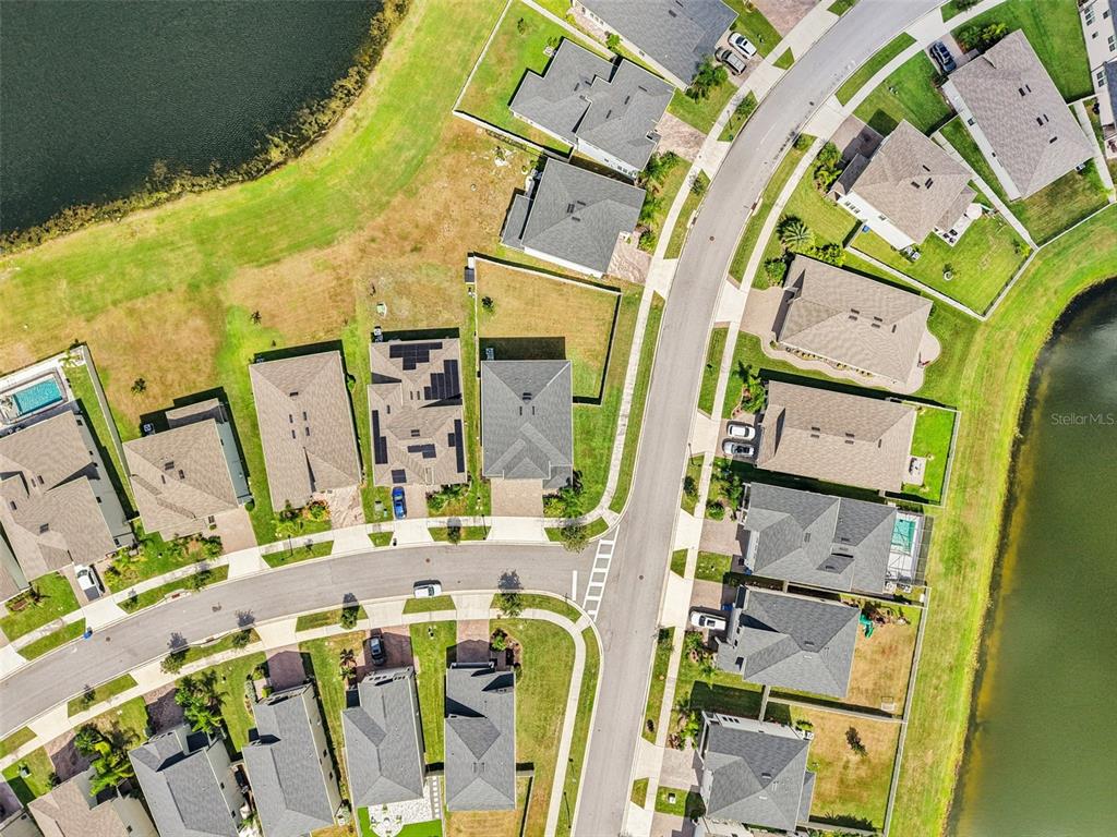 8289 Olympic Stone Circle Trinity, FL 34655 - Photo 33 of 45