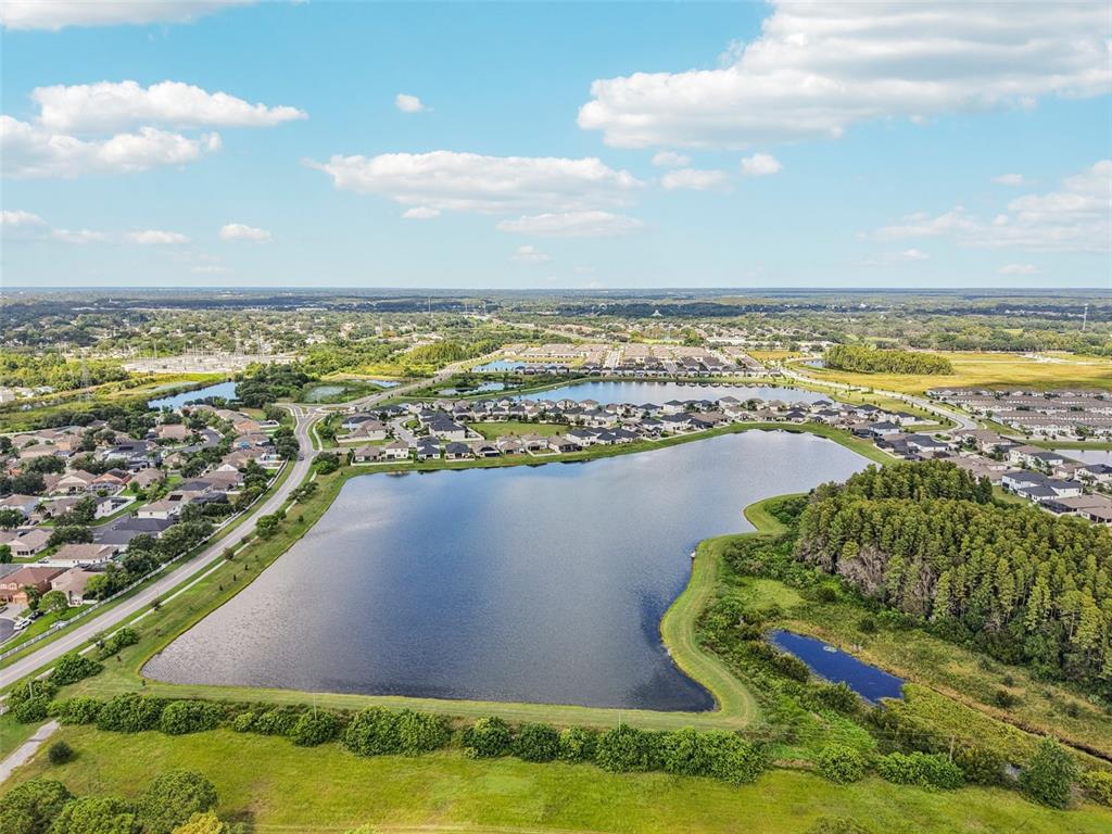 8289 Olympic Stone Circle Trinity, FL 34655 - Photo 35 of 45