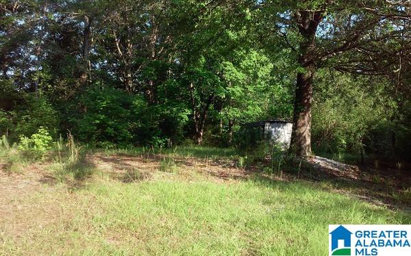 82 County Road, Unit 18 Wedowee, AL 36278 - Photo 6 of 12