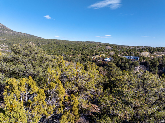 6 South N Frk Road Orderville, UT 84758 - Photo 40 of 68 View of mountain backdrop featuring a heavily wooded area