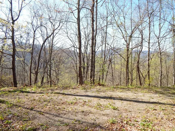 $30,000 | 11-2&12 Treetop Drive, Hayesville, NC 28904