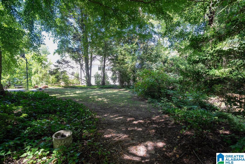 3224 Brookwood Road Birmingham, AL 35223 - Photo 58 of 59