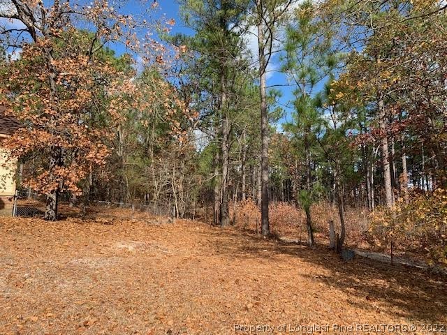3331 Arrowhead Road Spring Lake, NC 28390 - Photo 15 of 15 a view of outdoor space and trees