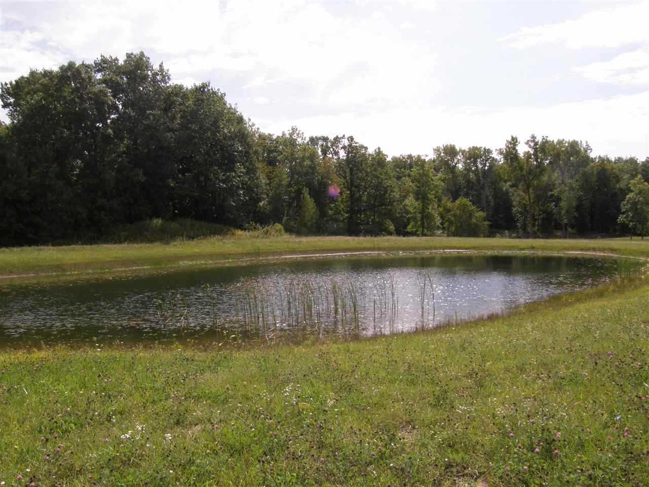 Peet Road Henderson, MI 48841 - Photo 7 of 10